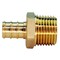 Apollo 1/2 in. Brass PEX Barb x Male Pipe Thread Adapter Jar (25-Pack), 25PK APXMA1225JR - alternate 3